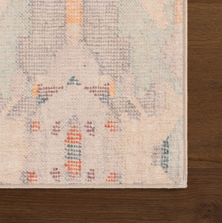 Bize Transitional Abstract Washable Rug

