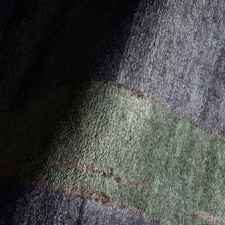 Ramila Modern Bordered Rug
