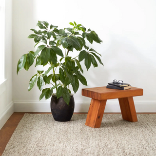 Loggia Handwoven Wool Rug
