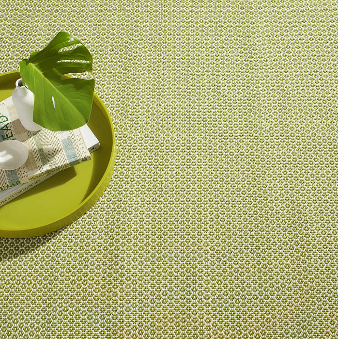 Finn Sprout Handwoven Indoor/Outdoor Rug 2x3