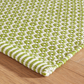 Finn Sprout Handwoven Indoor/Outdoor Rug 2x3