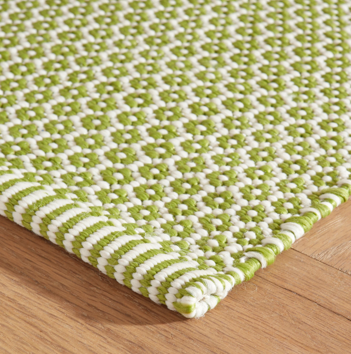 Finn Sprout Handwoven Indoor/Outdoor Rug 2x3