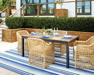 Skyler Stripe Indoor/Outdoor 2' x 3'
