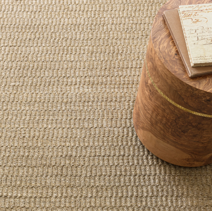 Jute Woven Natural Rug 2x3