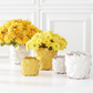 Distressed White Ceramic Sunflower Pot - Small