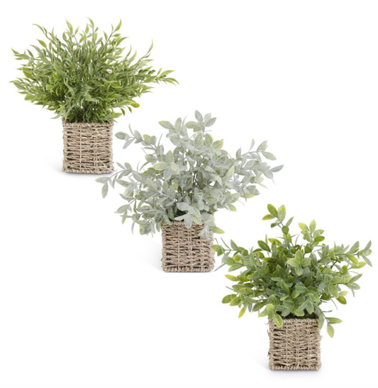 12 Inch Herbs in Square Woven Basket III