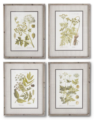 27.5 INCH FIR WOOD FRAMED BOTANICAL PRINT II
