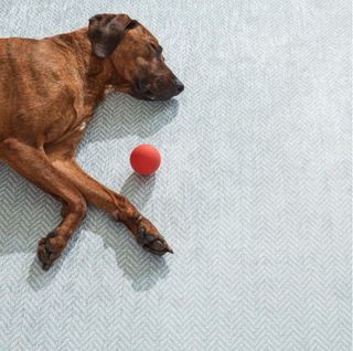 Herringbone Machine Washable Rug
