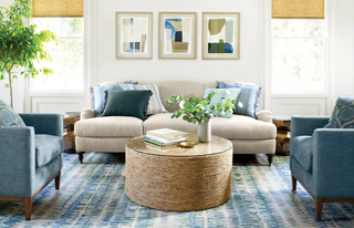 Phoenix Indoor/Outdoor Decorative Pillow 20"
