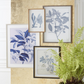 27.75 Inch Wood Framed Blue & White Botanical Print II