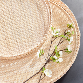 Barri Trays   Set of 2
