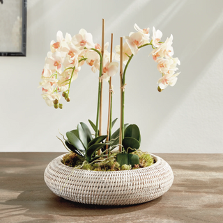 Burma Rattan Shallow Display Bowls   Set of 2
