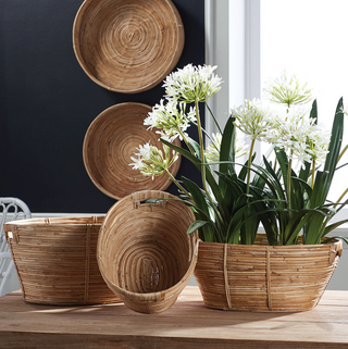 Cane Rattan Rectangular Baskets   Set of 3
