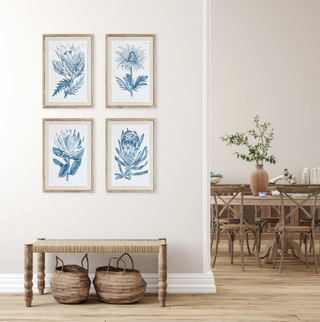Indigo Protea Prints   Set of 4

