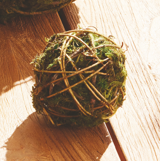 Mossy Vine Orb
