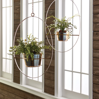 12" Boston Fern Rustic Drop In
