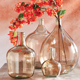 Brasserie Bottle
