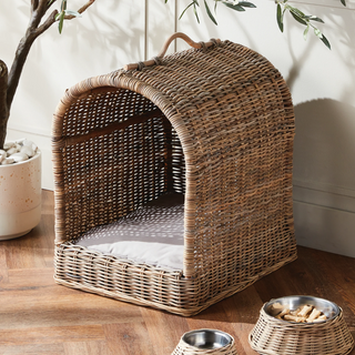 Normandy Canopy Pet Bed
