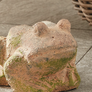 WEATHERED GARDEN FROG
