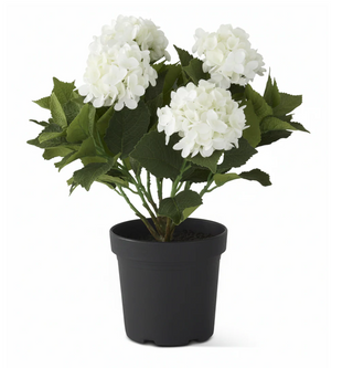 18.75 Inch 5 Bloom White Potted Hydrangea w/Faux Dirt
