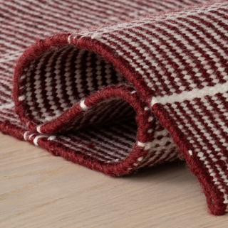 Samson Indoor/Outdoor Rug
