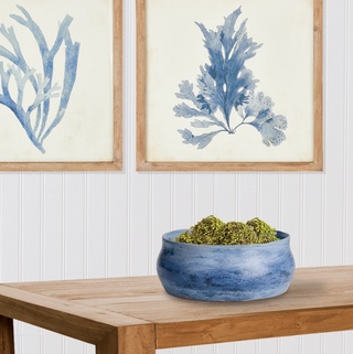 Caspian Decorative Bowl
