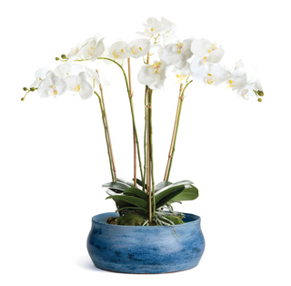 Caspian Decorative Bowl
