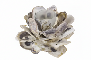 Set of 4   Oyster Shell Flower Votive Holder
