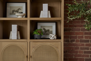 Cane Storage Bookcase
