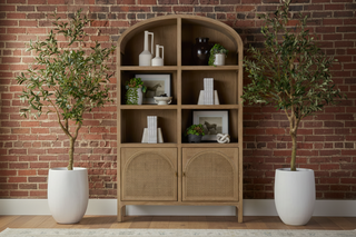 Cane Storage Bookcase
