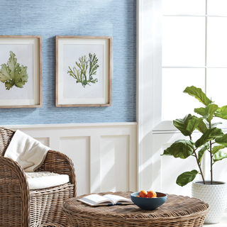 Set of 6   Kelp Prints
