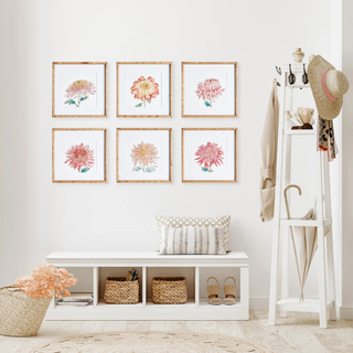 Set of 6   Colorful Chrysanthemum Prints
