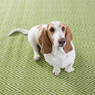 Diamond Indoor/Outdoor Rug
