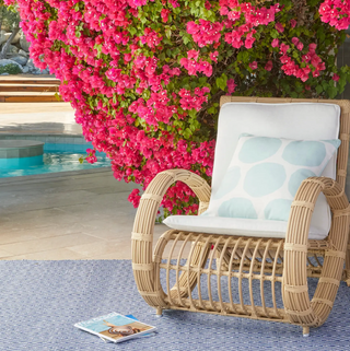 Diamond Indoor/Outdoor Rug
