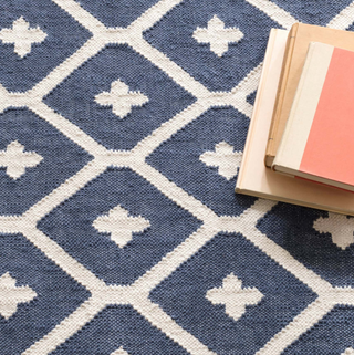 Elizabeth Handwoven Indoor/Outdoor Rug
