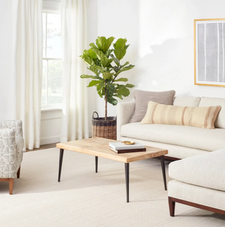 Herringbone Indoor/Outdoor Rug
