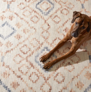 Jelly Roll Machine Washable Rug
