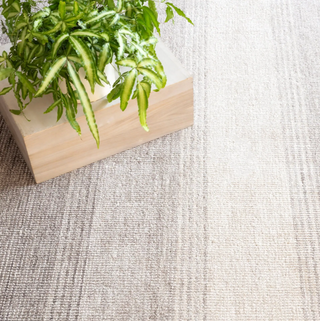 Pandora Hand Loom Knotted Rug

