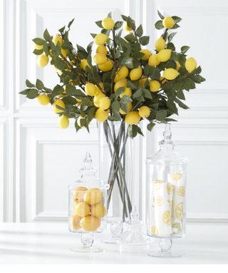 Clear Glass Cylinder Apothecary Jar
