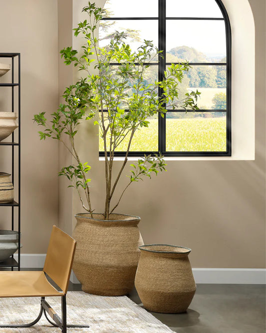 Cobra Basket - Large ***