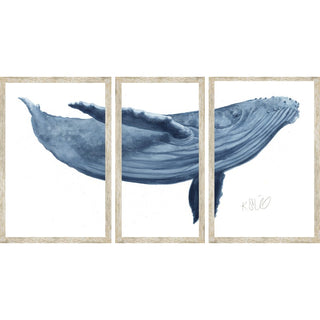 72" x 38"   Blue Whale 2 Triptych
