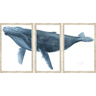 72" x 38"   Blue Whale 1 Triptych
