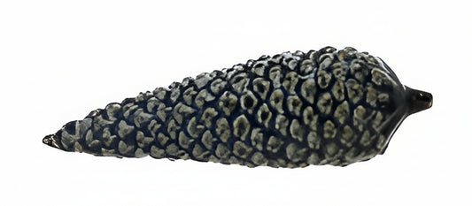 Stoneware Pinecones, Reactive Glaze - Large