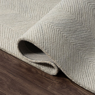 Nevaeh Transitional Chevron Indoor Area Rug
