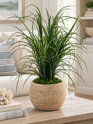Grass in Short Rope Pot
