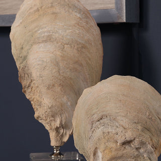 Oyster Shell Sculptures   Set of 2
