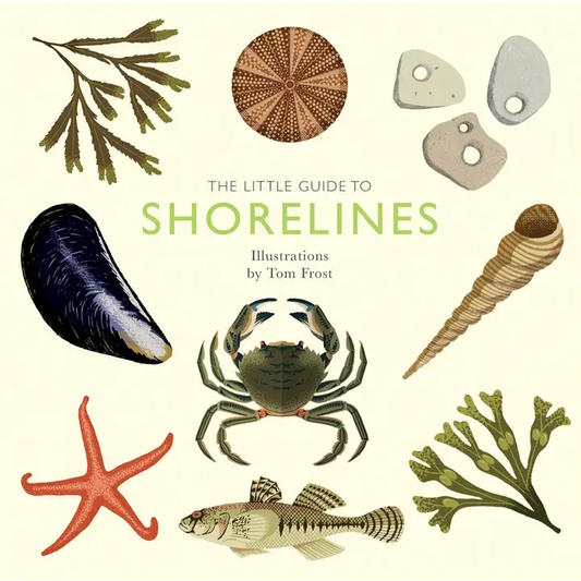 The Little Guide To Shorelines