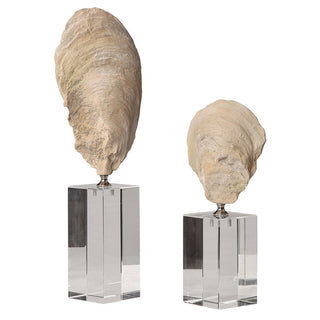Oyster Shell Sculptures   Set of 2
