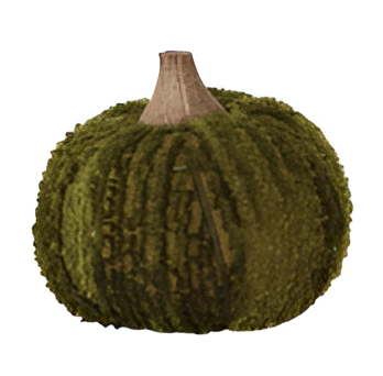 Cotton Blend Bouclé/Velvet Pumpkin w/ Wood Stem - Green Boucle