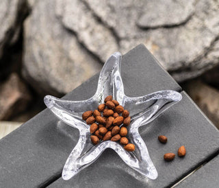Starfish Sauce Dip Dish Silver
